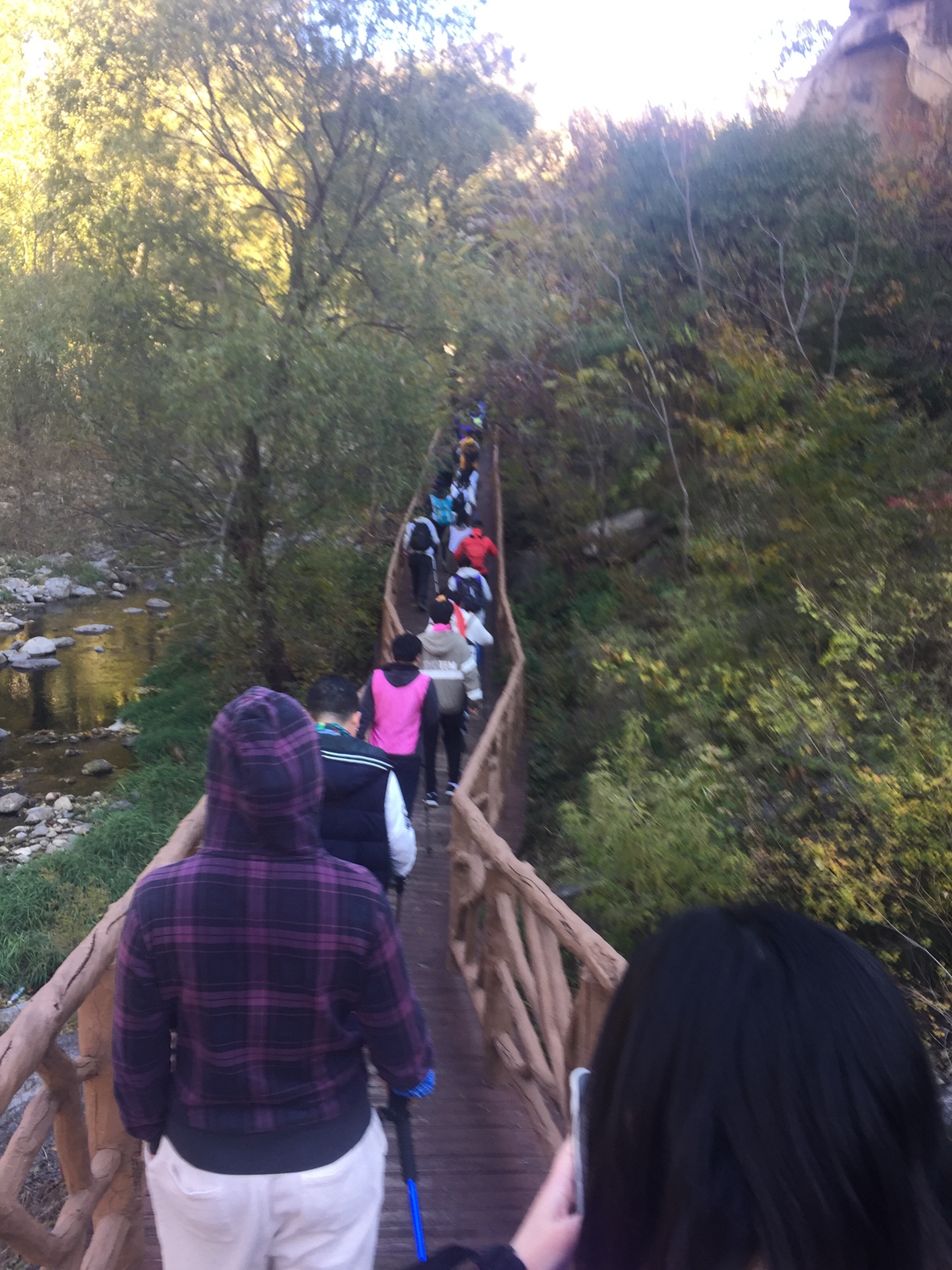 2019-10-25 101314.jpg