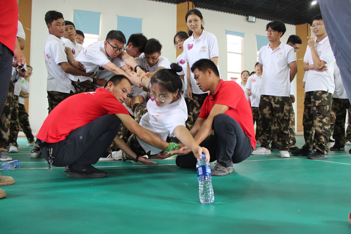 6628972_IMG_lj7eesW89asAkghsyFphVjCP4Rn9.jpg