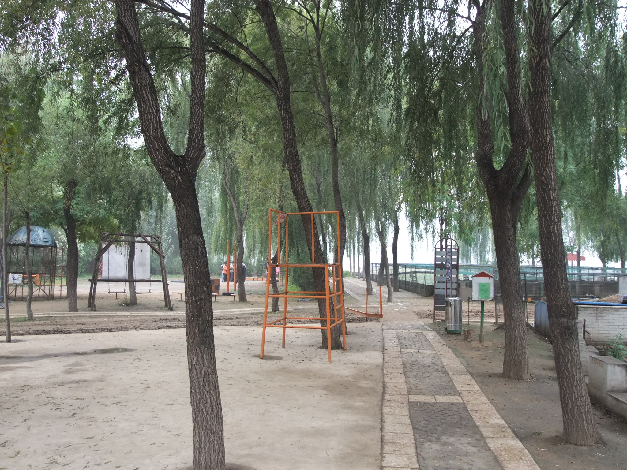 DSCF1707.jpg