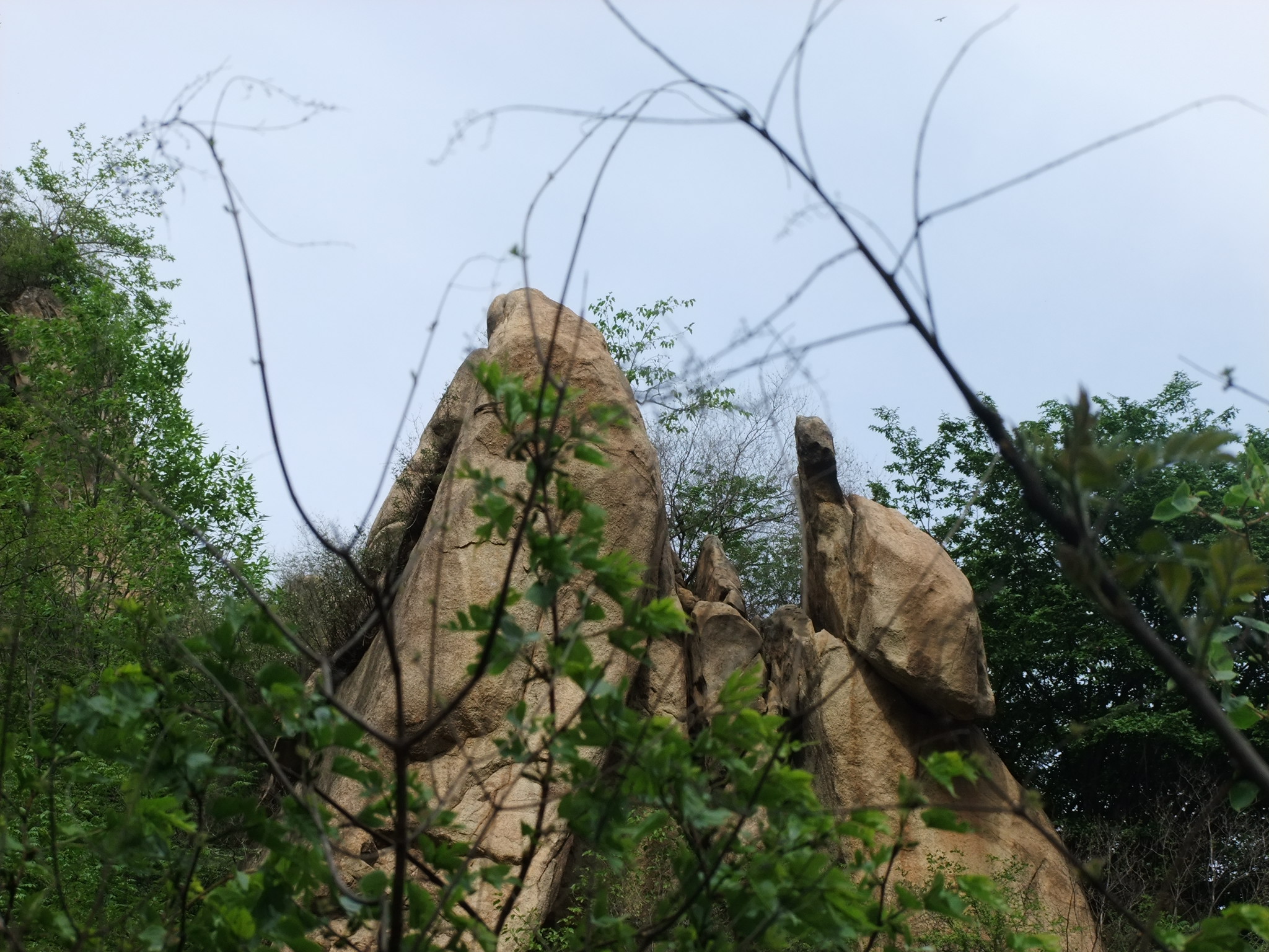百泉山04.jpg