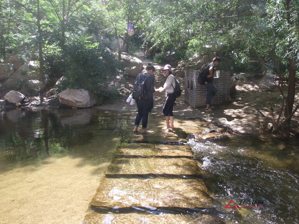 DSCF0010.JPG