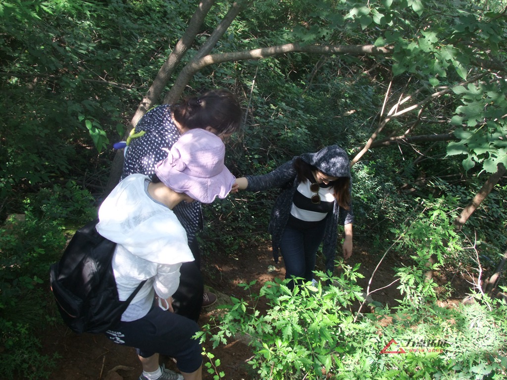 DSCF0003.JPG