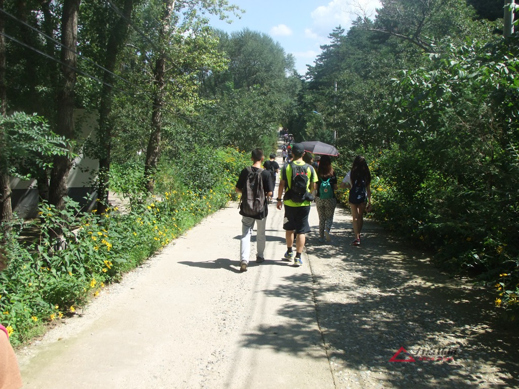 DSCF9938.JPG