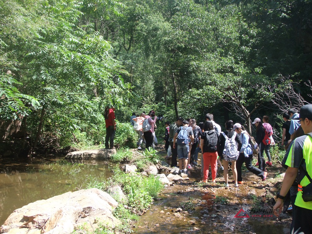 DSCF9953.JPG