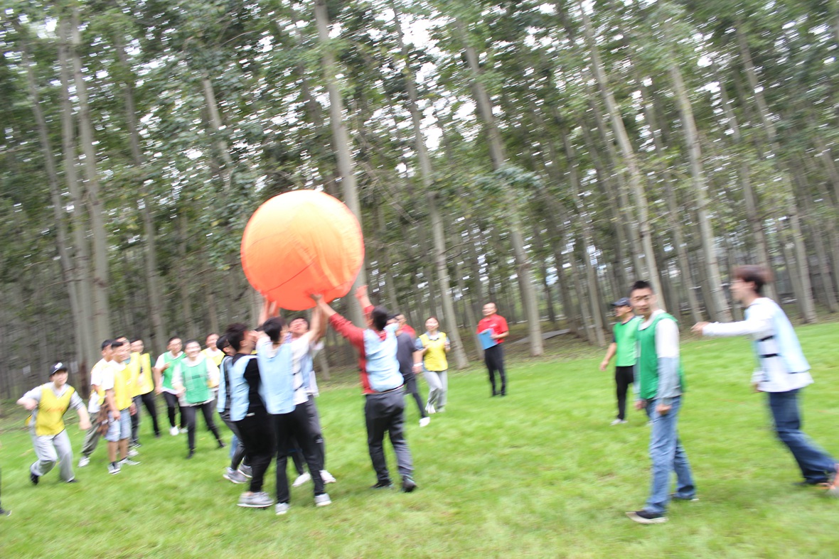 IMG_8601.JPG